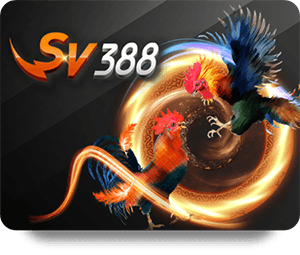 RikVip Live Dealer Hot Trends You Should Know